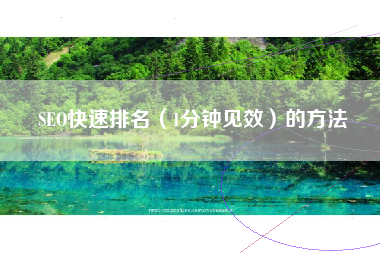 SEO快速排名（1分钟见效）的方法