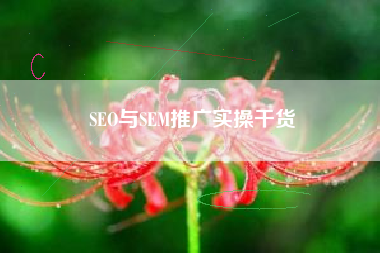 SEO与SEM推广实操干货