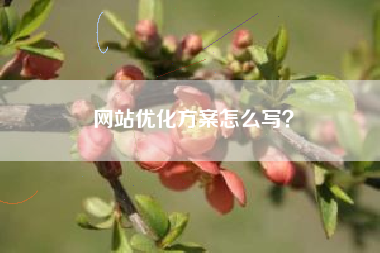 网站优化方案怎么写？