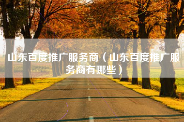 山东百度推广服务商（山东百度推广服务商有哪些）