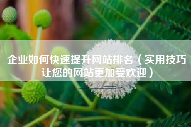 企业如何快速提升网站排名（实用技巧让您的网站更加受欢迎）