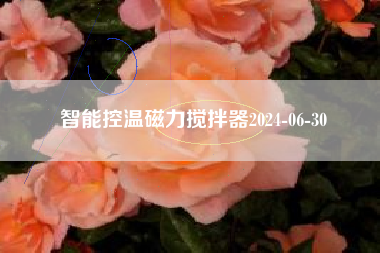智能控温磁力搅拌器2024-06-30