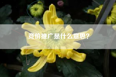 竞价推广是什么意思？