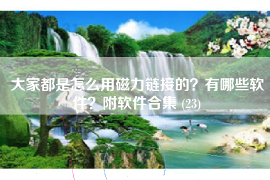 大家都是怎么用磁力链接的？有哪些软件？附软件合集 (23)