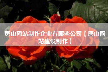 唐山网站制作企业有哪些公司【唐山网站建设制作】