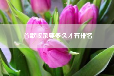 谷歌收录要多久才有排名