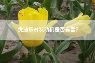 优油乐对发动机是否有害？