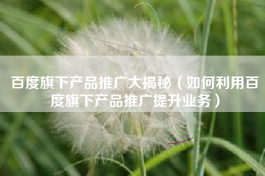 百度旗下产品推广大揭秘（如何利用百度旗下产品推广提升业务）