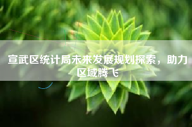 宣武区统计局未来发展规划探索，助力区域腾飞