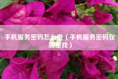 手机服务密码怎么查（手机服务密码在哪里找）