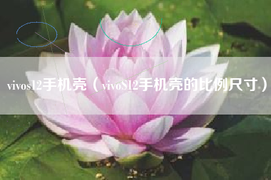 vivos12手机壳（vivoS12手机壳的比例尺寸）