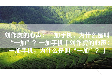 刘作虎的心声：一加手机，为什么是叫“一加”？一加手机「刘作虎的心声：一加手机，为什么是叫“一加”？」
