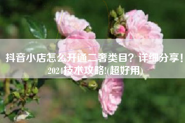 抖音小店怎么开通二奢类目？详细分享！ 2024技术攻略!(超好用)