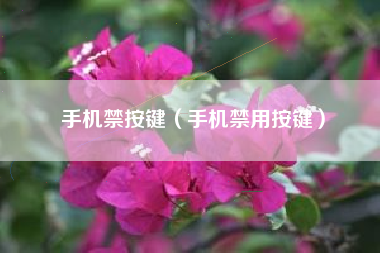 手机禁按键（手机禁用按键）