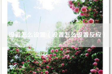 设置怎么设置（设置怎么设置反应）