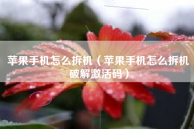苹果手机怎么拆机（苹果手机怎么拆机破解激活码）