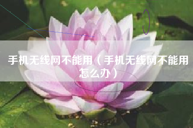 手机无线网不能用（手机无线网不能用怎么办）