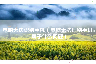 电脑无法识别手机（电脑无法识别手机u属于什么问题）