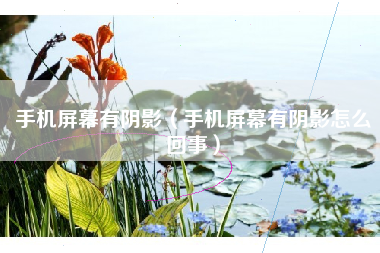 手机屏幕有阴影（手机屏幕有阴影怎么回事）