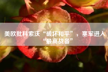 美欧批科索沃“破坏和平”，塞军进入“最高战备”