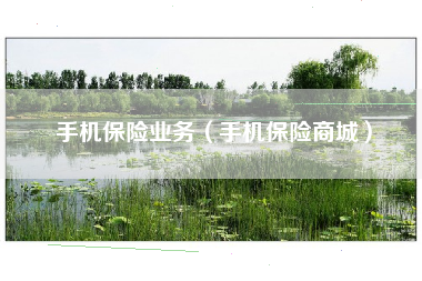 手机保险业务（手机保险商城）