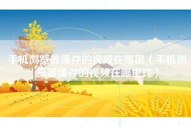 手机浏览器缓存的视频在哪里（手机浏览器缓存的视频在哪里找）