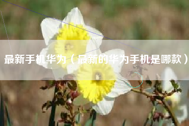 最新手机华为（最新的华为手机是哪款）