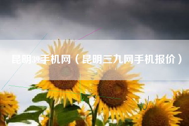 昆明39手机网（昆明三九网手机报价）