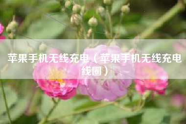 苹果手机无线充电（苹果手机无线充电线圈）
