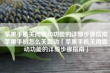 苹果手机关闭震动功能的详细步骤指南苹果手机怎么关震动「苹果手机关闭震动功能的详细步骤指南」