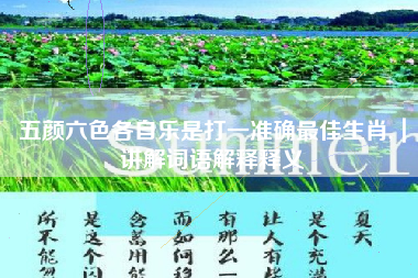 五颜六色各自乐是打一准确最佳生肖,｜讲解词语解释释义