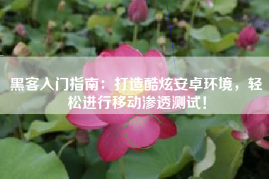 黑客入门指南：打造酷炫安卓环境，轻松进行移动渗透测试！