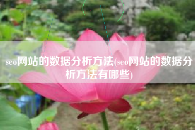 seo网站的数据分析方法(seo网站的数据分析方法有哪些)
