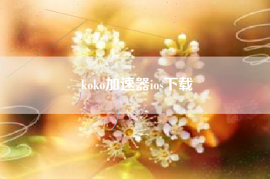 koko加速器ios下载